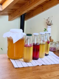 Kombucha y cuatro bebidas herbales