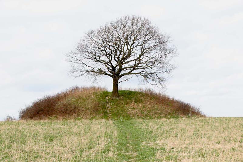 Mysselhøj, un túmulo funerario danés de principios de la Edad del Bronce situado cerca de la ciudad danesa de Roskilde. 